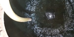 GRP Tank lining
